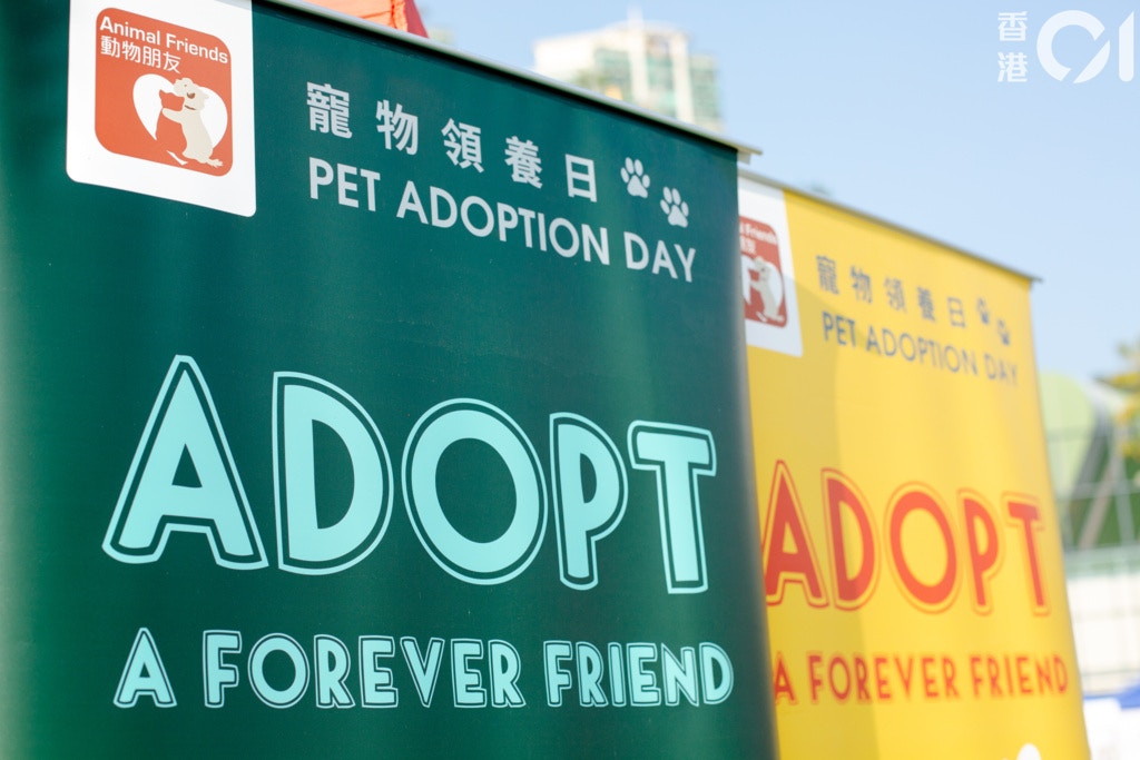 領養嘉年華讓民眾有機會親近狗隻,但要扭轉民眾對於待領養狗隻的誤解,仍然需要時間。(鄧倩螢攝) 領養嘉年華讓民眾有機會親近狗隻,但要扭轉民眾對於待領養狗隻的誤解,仍然需要時間。(鄧倩螢攝)