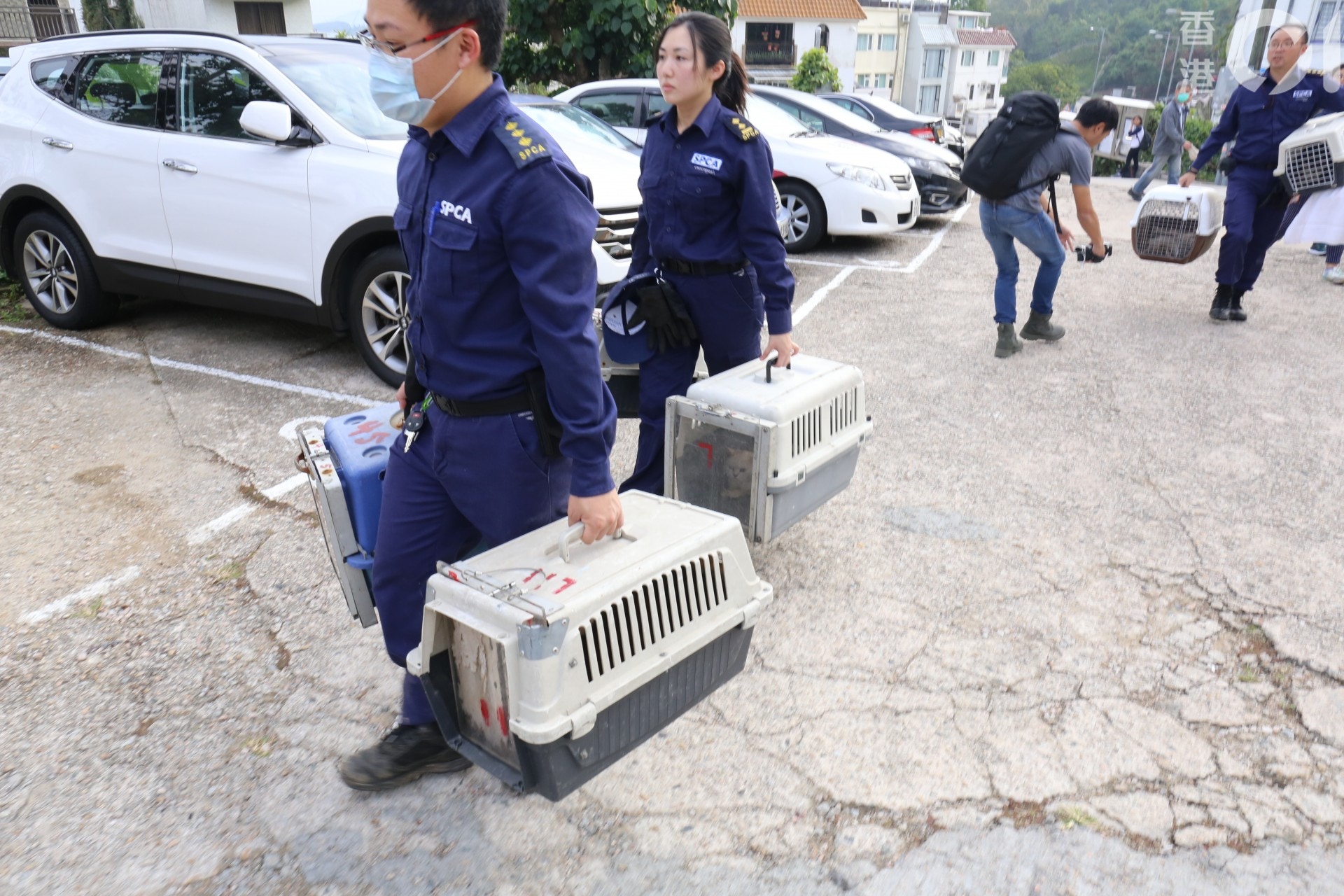 (陳蕾蕾攝) (陳蕾蕾攝)