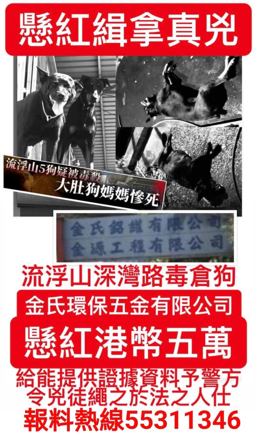 (讀者提供) (讀者提供)