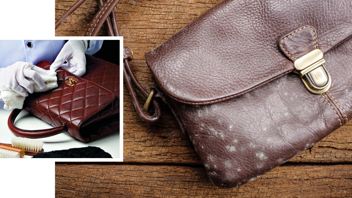 皮革保養】皮袋皮鞋放久了有「白粉」？未必是發霉清理好簡單
