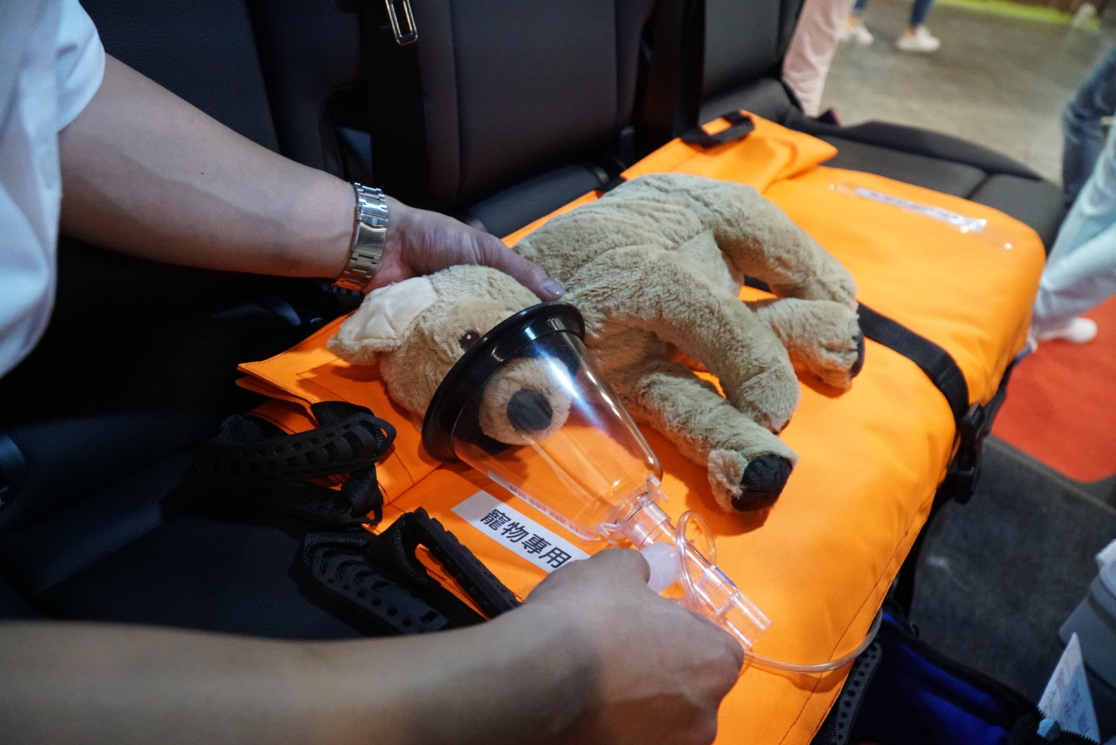 Brian認為氧氣瓶可能幫助到虛弱的寵物。 Brian認為氧氣瓶可能幫助到虛弱的寵物。