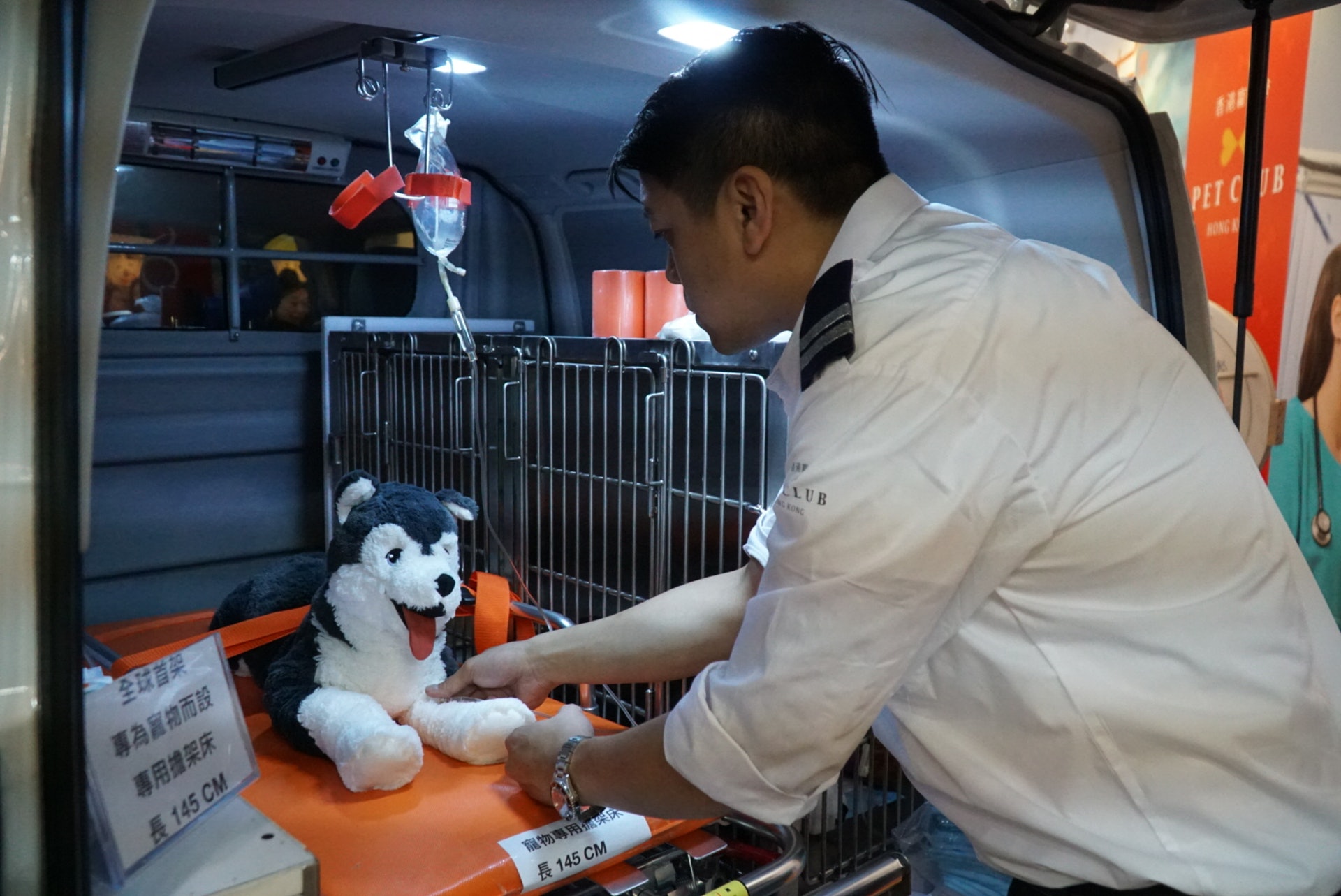 寵物危急時可以打點滴。 寵物危急時可以打點滴。