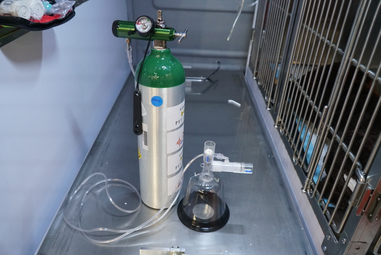 氧氣瓶能讓呼吸虛弱的貓狗,稍後舒服一點。 氧氣瓶能讓呼吸虛弱的貓狗,稍後舒服一點。