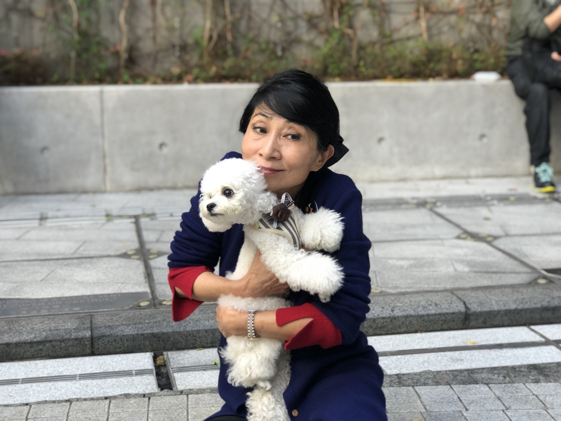 (鄧偉傑攝) (鄧偉傑攝)