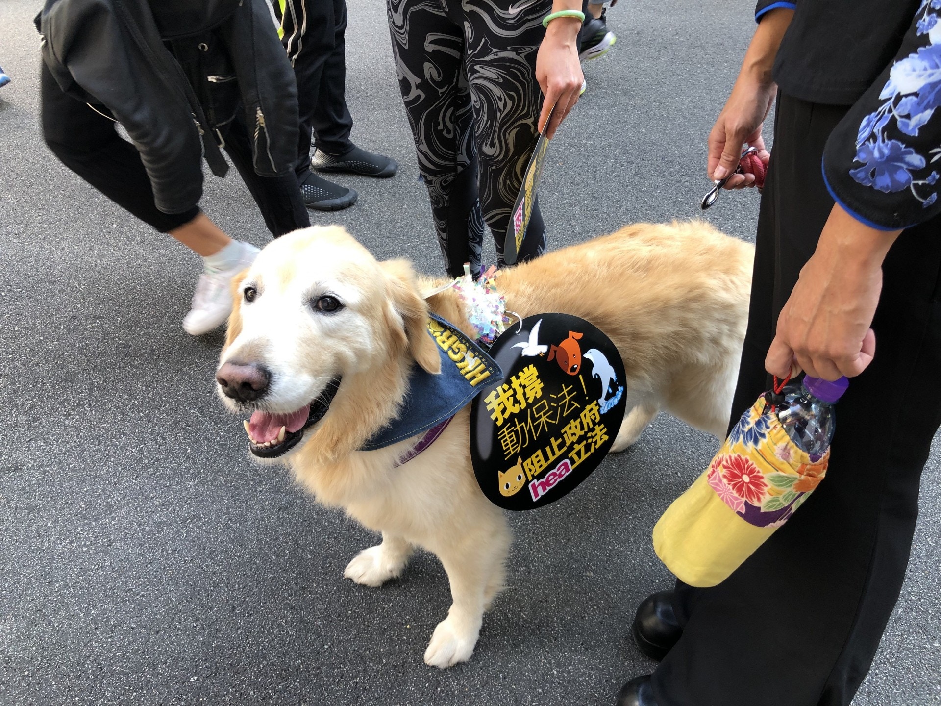 (鄧偉傑攝) (鄧偉傑攝)