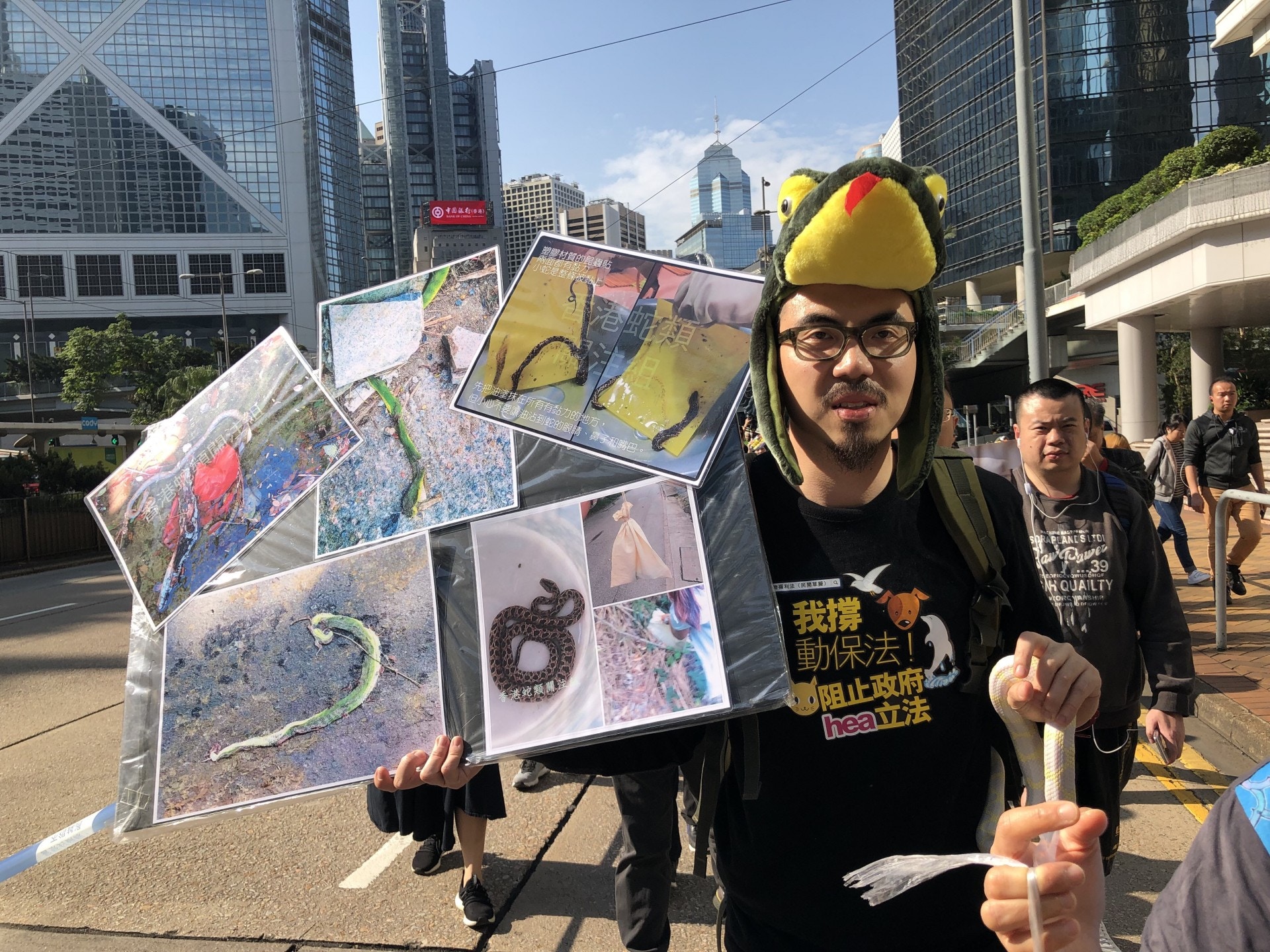 (鄧偉傑攝) (鄧偉傑攝)