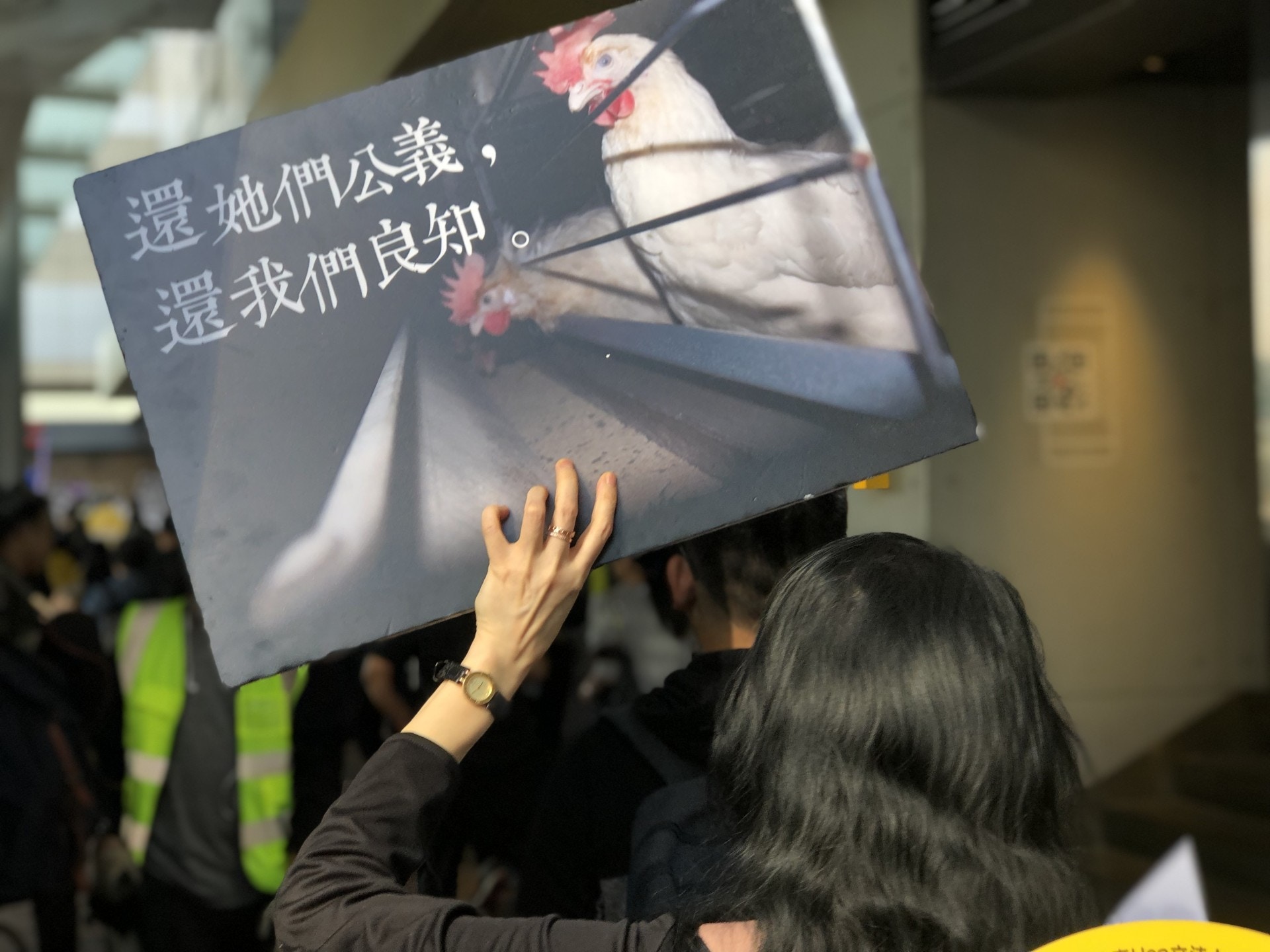 (鄧偉傑攝) (鄧偉傑攝)