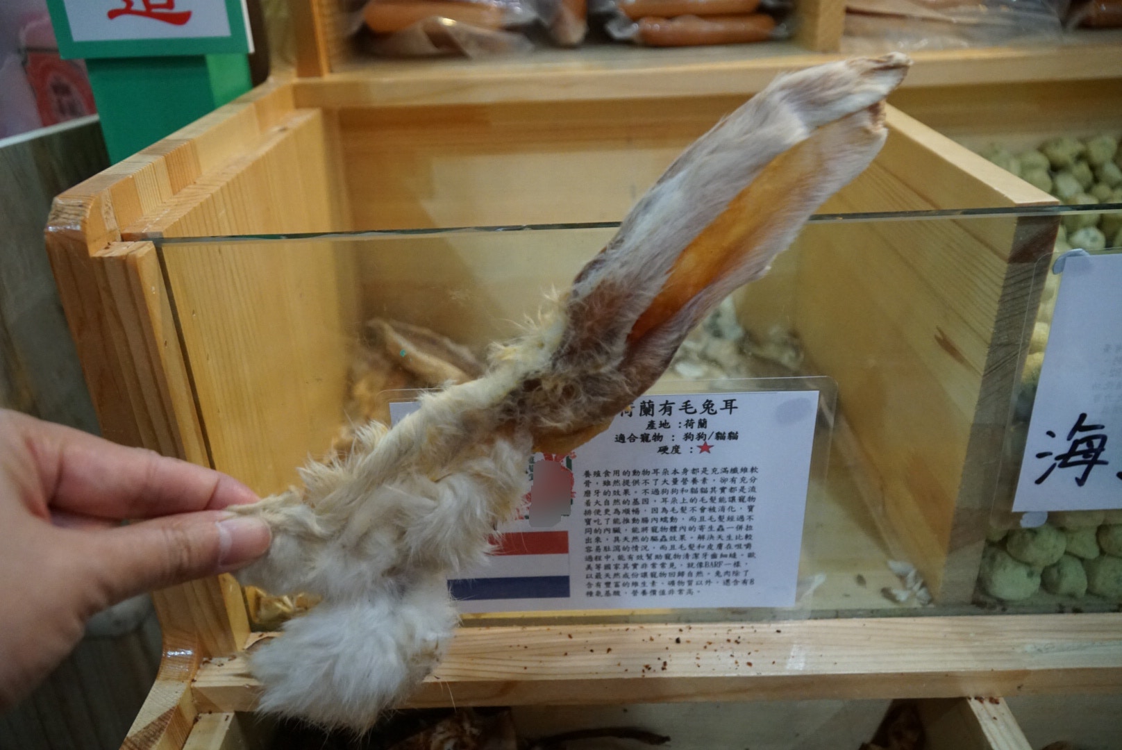 (胡巧欣攝) (胡巧欣攝)