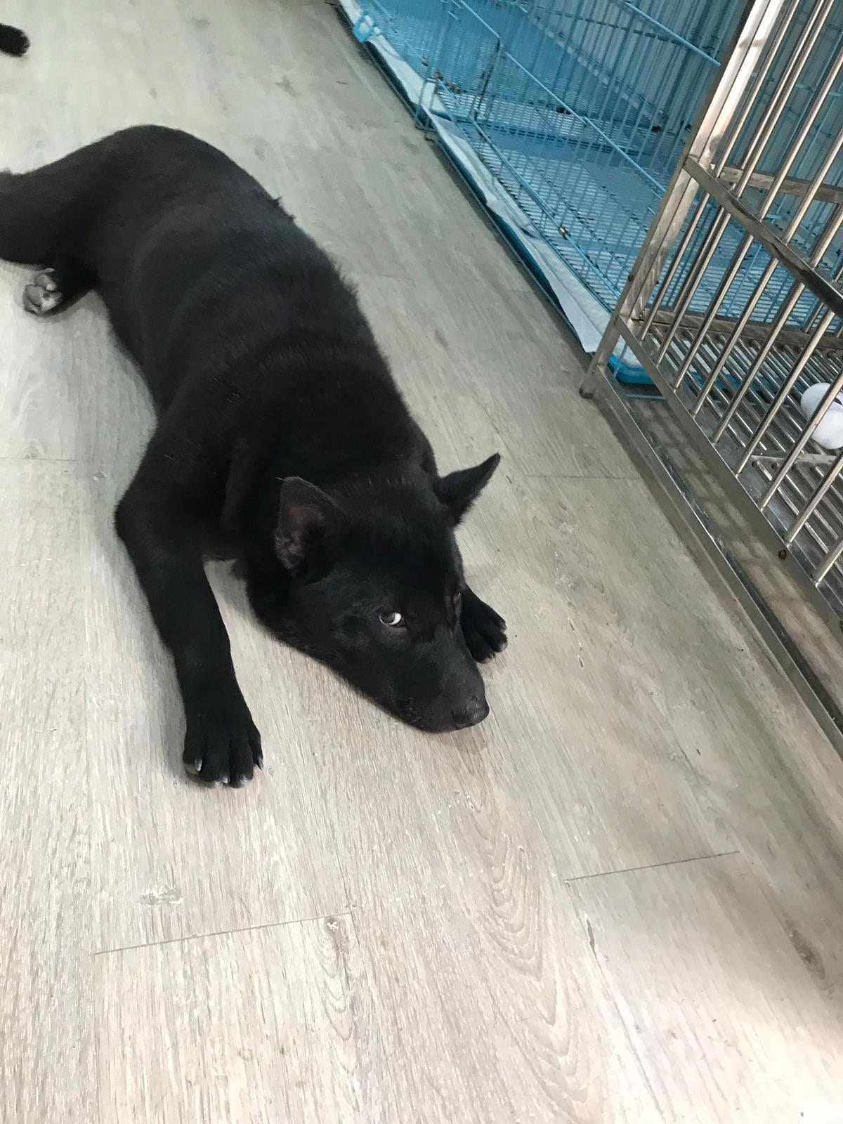 (受訪者提供) (受訪者提供)