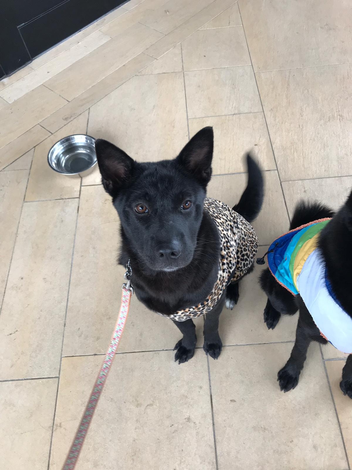 (受訪者提供) (受訪者提供)