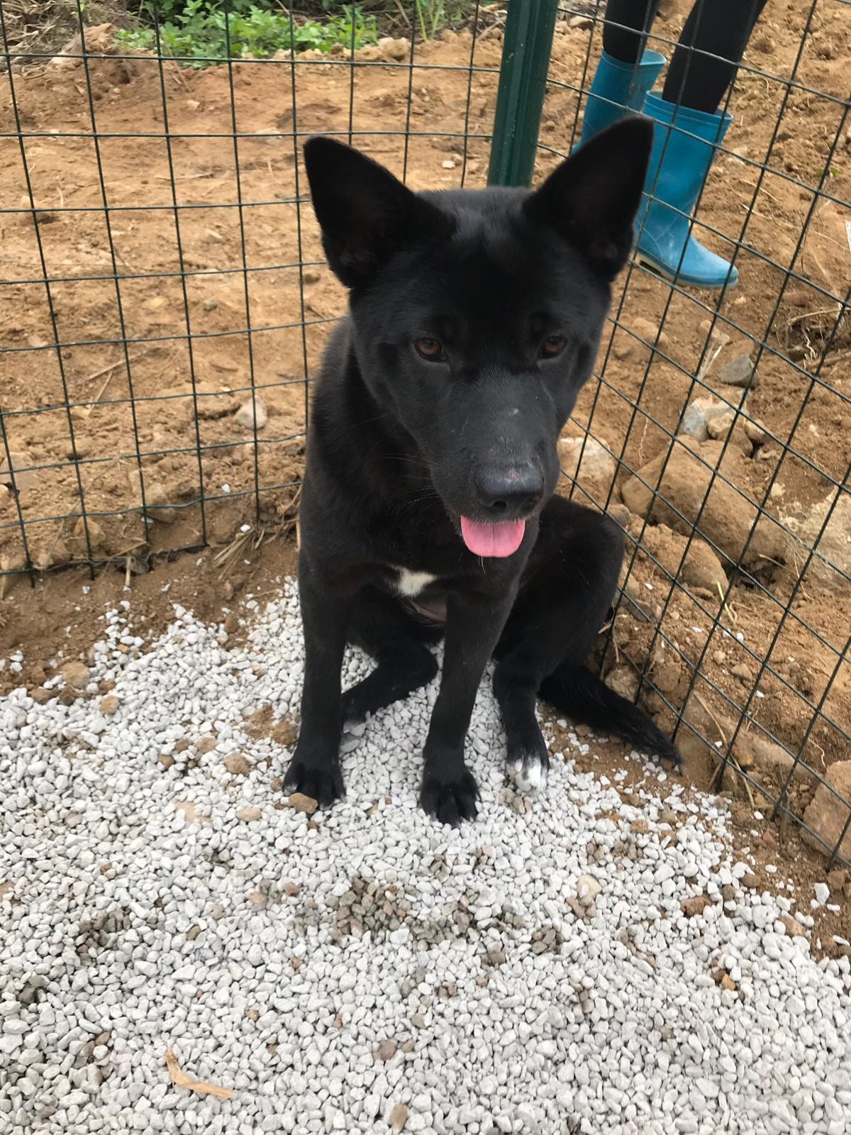 (受訪者提供) (受訪者提供)