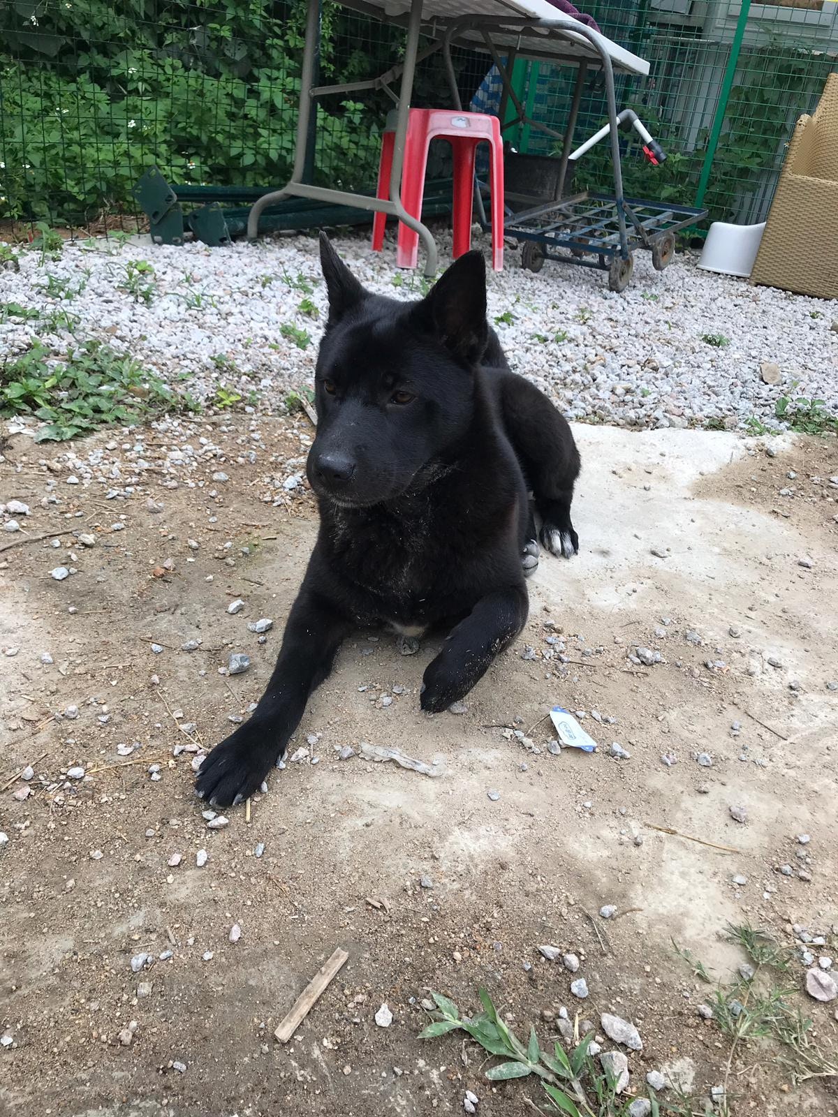 (受訪者提供) (受訪者提供)