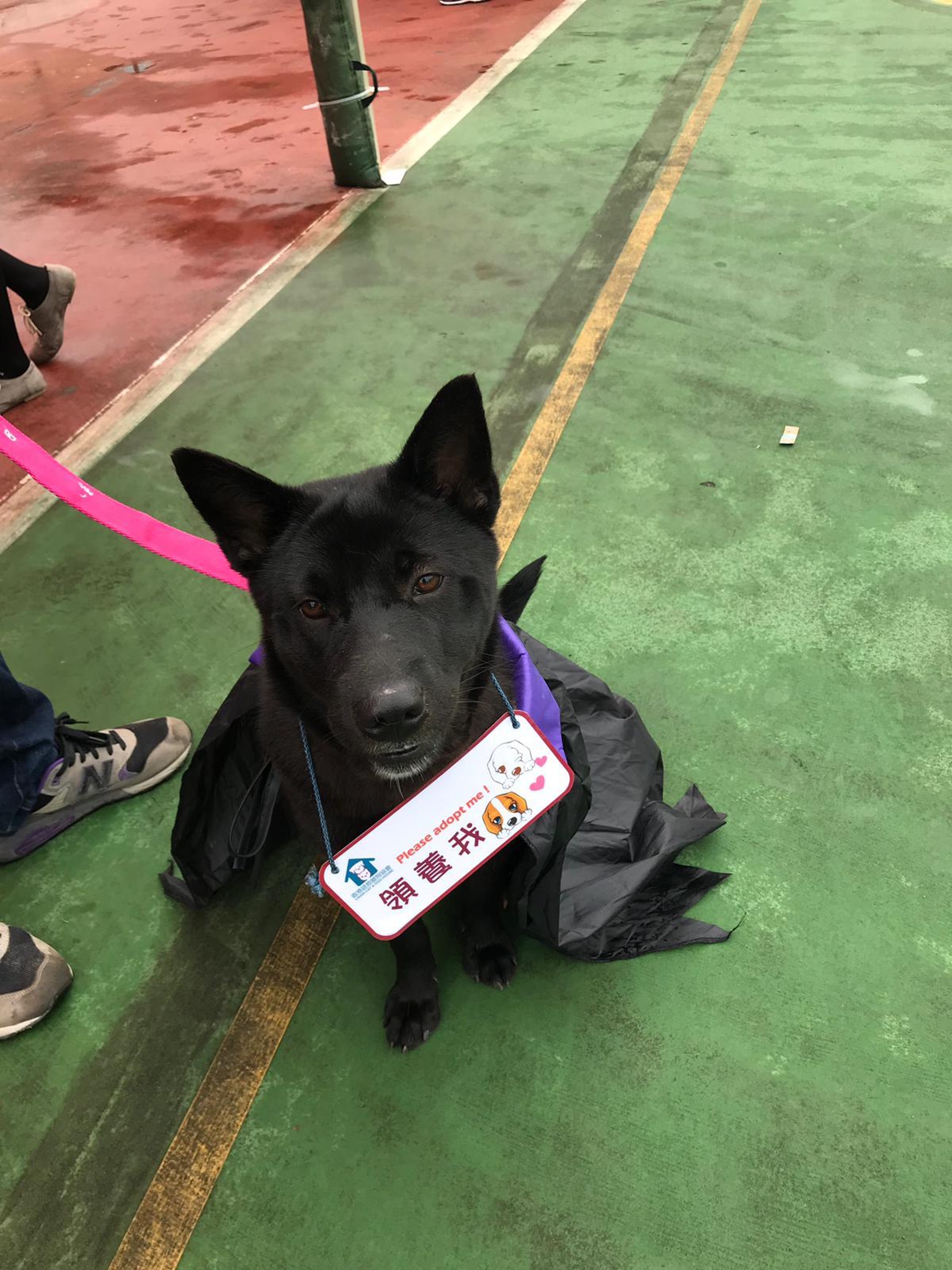 (受訪者提供) (受訪者提供)