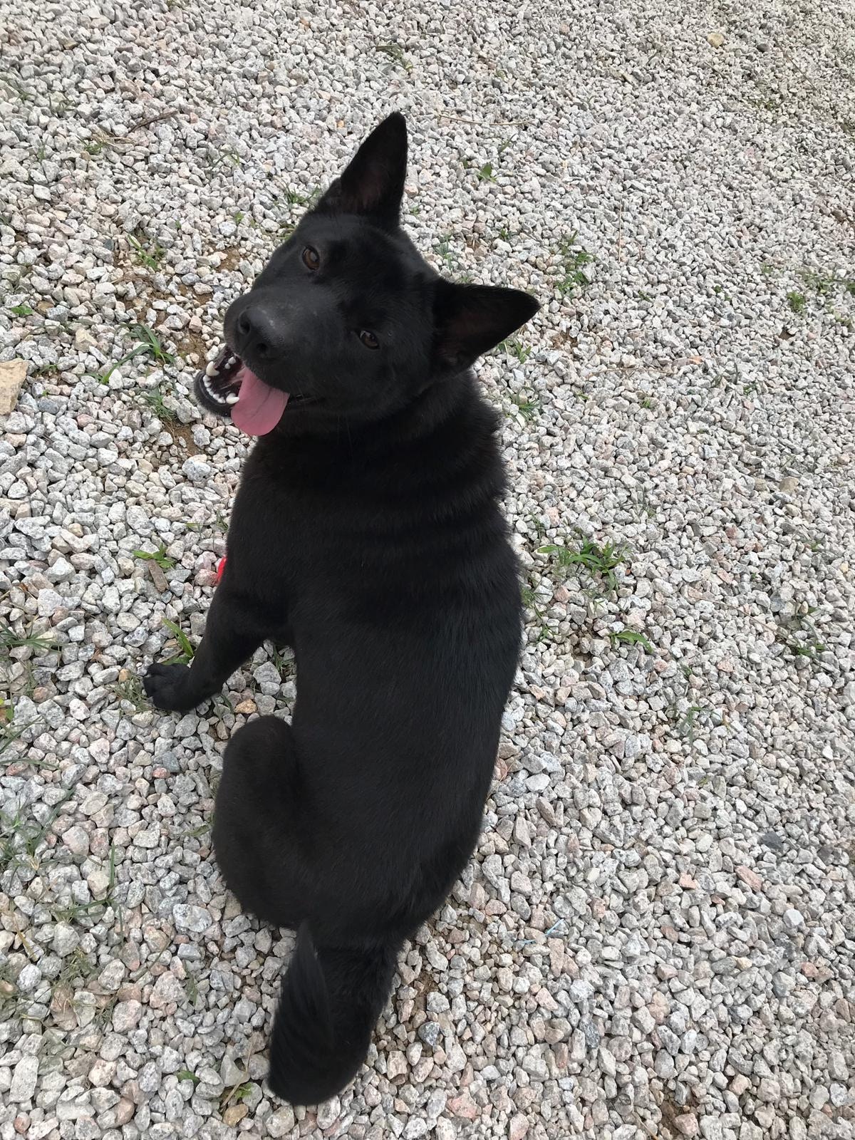 (受訪者提供) (受訪者提供)