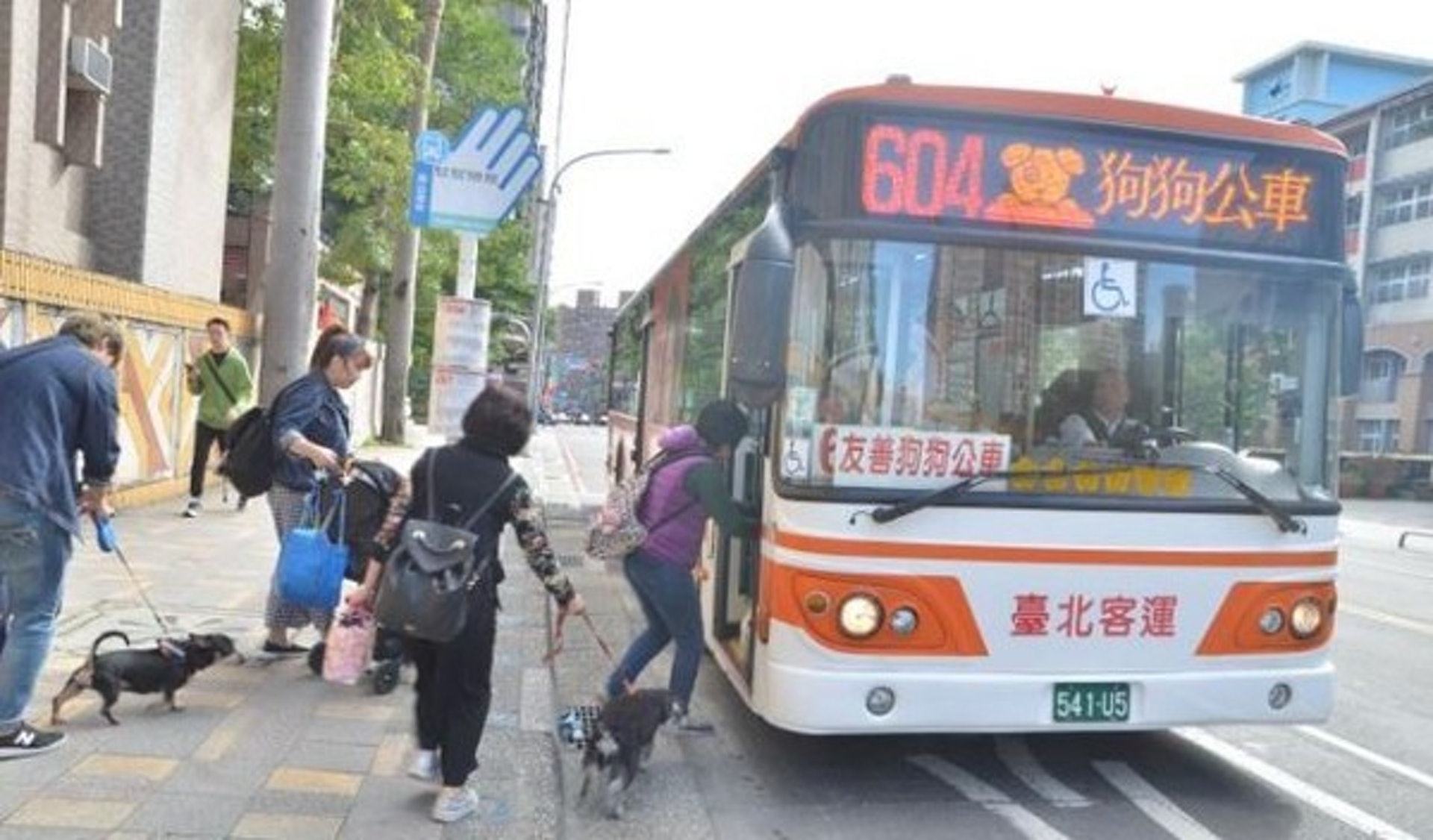 目前台灣新北地區營運的「寵物友善公車」共有3條巴士線供人寵乘搭,包括604、225及669,各於假日於市區行駛3輪班次,途中將行經新北市多處公園。(新北市政府動物保護防疫處提供) 目前台灣新北地區營運的「寵物友善公車」共有3條巴士線供人寵乘搭,包括604、225及669,各於假日於市區行駛3輪班次,途中將行經新北市多處公園。(新北市政府動物保護防疫處提供)