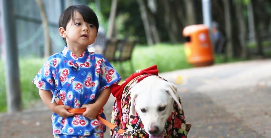 阿翔與蝦多士11 花火祭來了阿翔幫蝦多士沖涼扮靚 香港01 親子