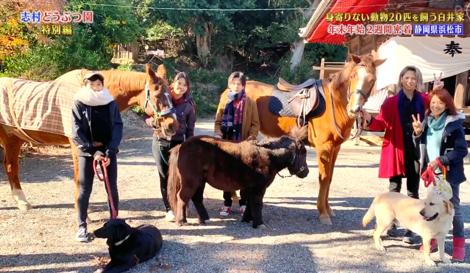 志村動物園 夥伴都走了剩牠 小龐 不捨志村健離開 畫面曝光 追上去抱抱惹哭網