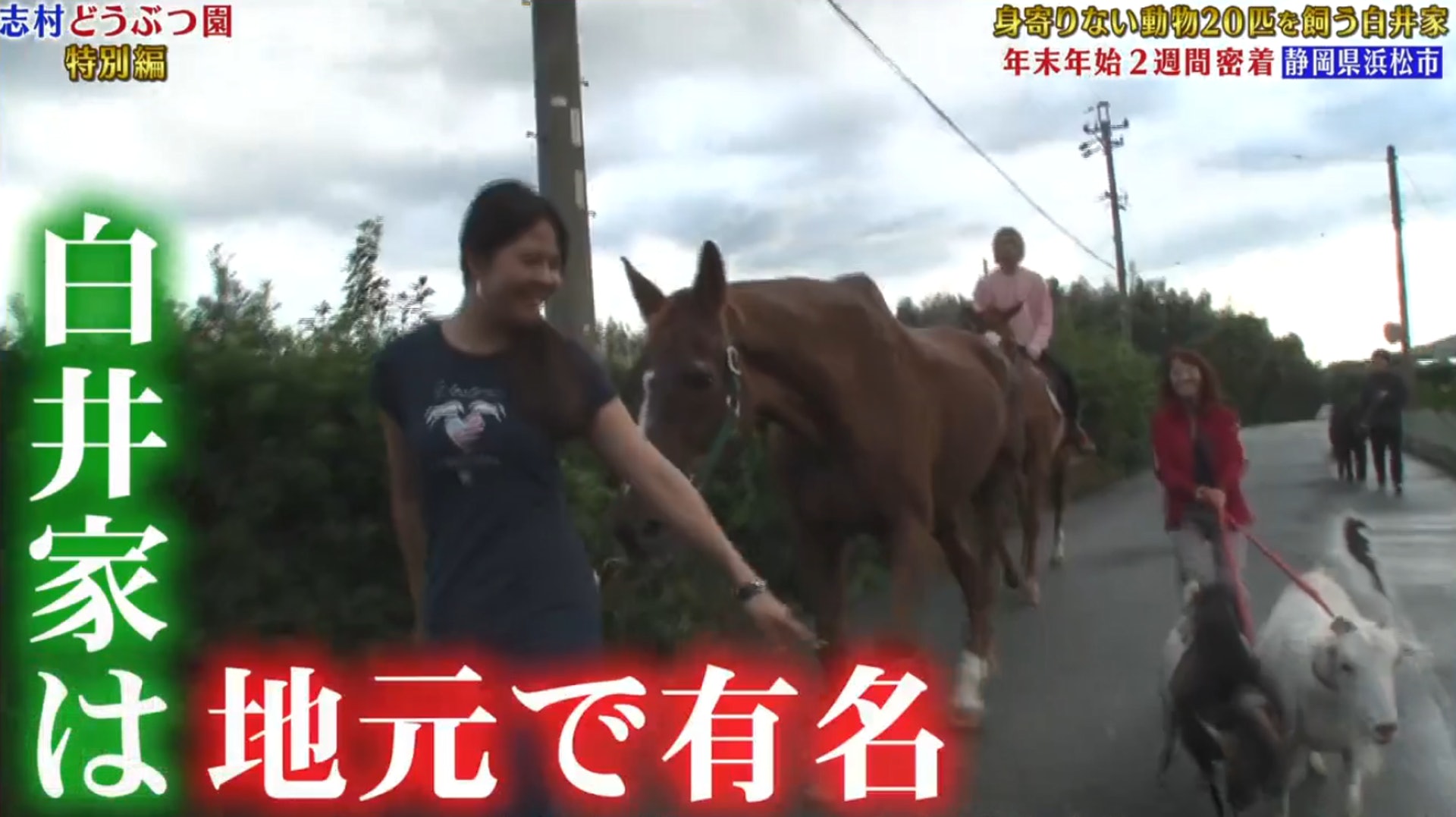 白井家 志村動物園 白井家 志村動物園