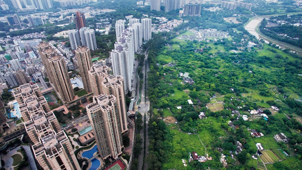 發展局指出，現無政策讓農戶在政府土地「耕住合一」。（資料圖片）