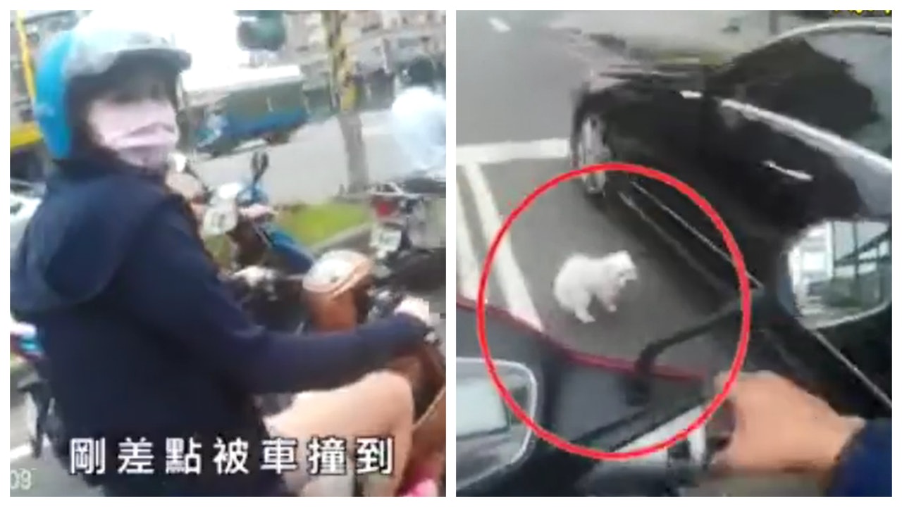 【有片】電單車上小狗突跳車 險釀交通意外 網民批評沒綁狗帶 【有片】電單車上小狗突跳車 險釀交通意外 網民批評沒綁狗帶