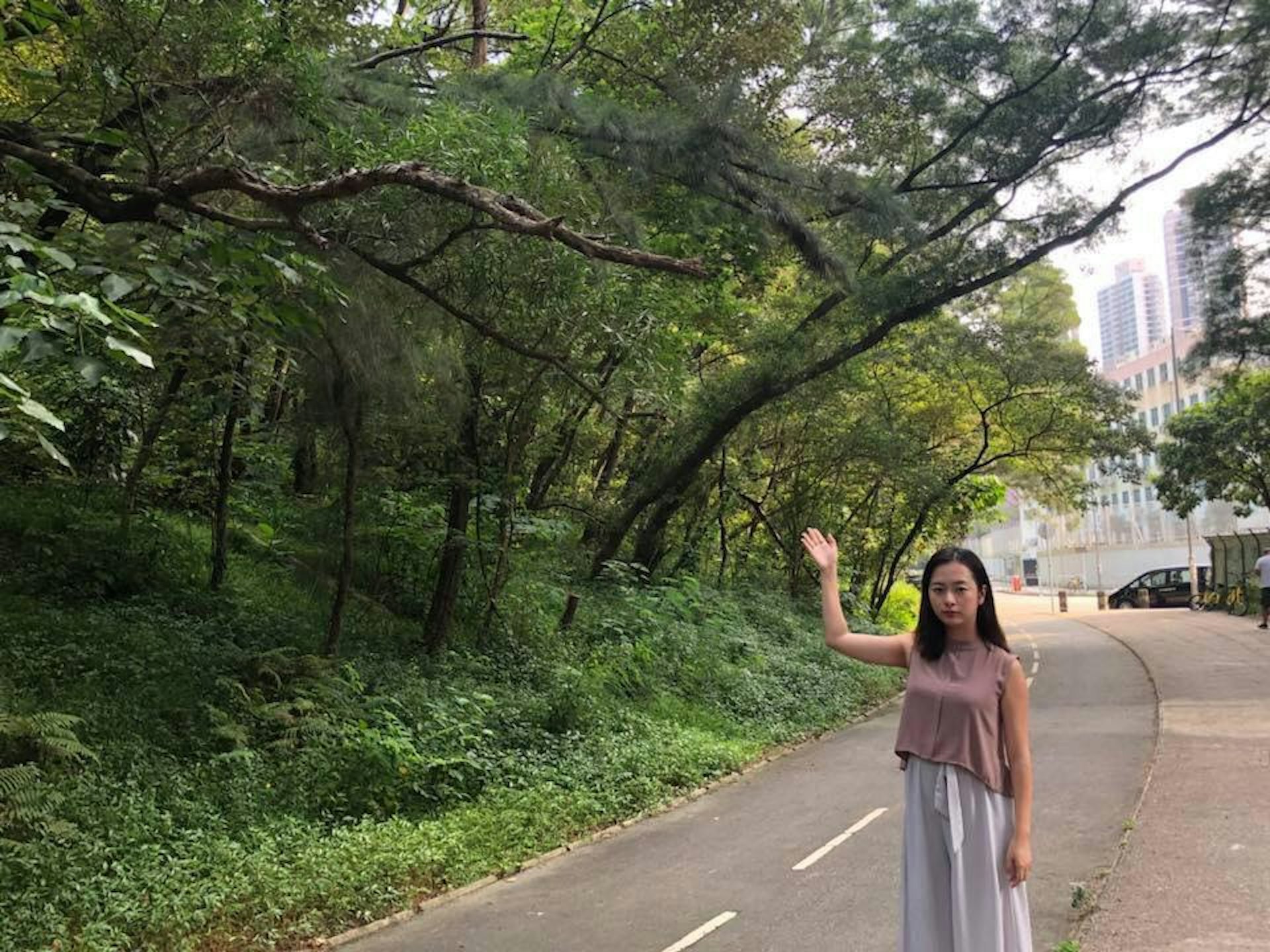 曾素麗是董之英紀念中學舊生,所屬的富寶選區,亦在該校旁(圖右後方)。(曾素麗fb圖片) 曾素麗是董之英紀念中學舊生,所屬的富寶選區,亦在該校旁(圖右後方)。(曾素麗fb圖片)
