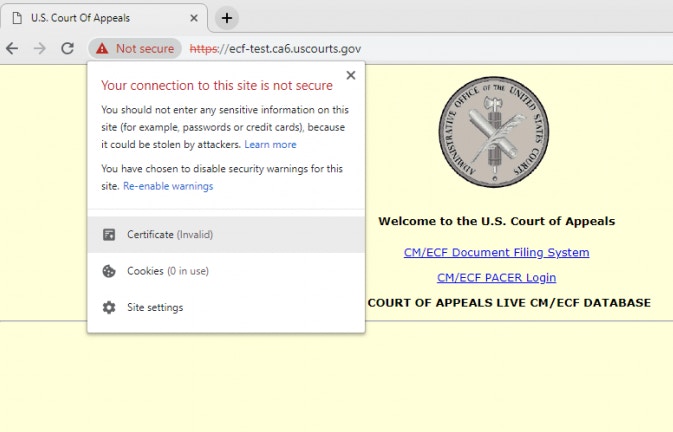 美國上訴法院網站是受影響的網頁之一，因憑證過期一度出現安全警告。（COURT OF APPEALS網頁截圖）
