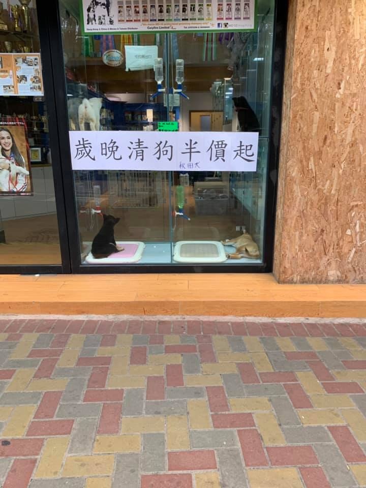 一間本地寵物店的櫥窗上正貼著一幅大字報「歲月清狗半價起」,帖文上載不足兩日已引來過百網民激烈討論。(資料圖片) 一間本地寵物店的櫥窗上正貼著一幅大字報「歲月清狗半價起」,帖文上載不足兩日已引來過百網民激烈討論。(資料圖片)