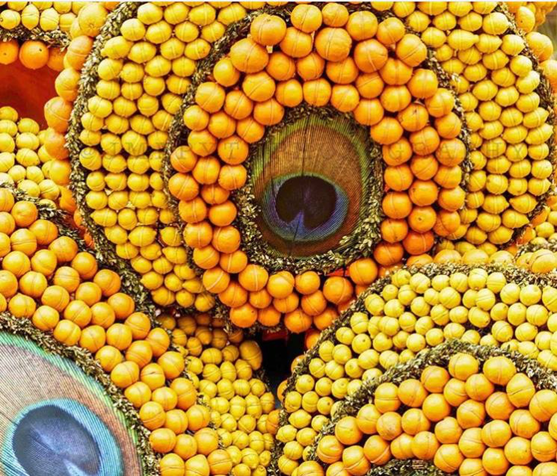 芒通檸檬節(Fête du Citron - Menton @ Facebook) 芒通檸檬節(Fête du Citron - Menton @ Facebook)