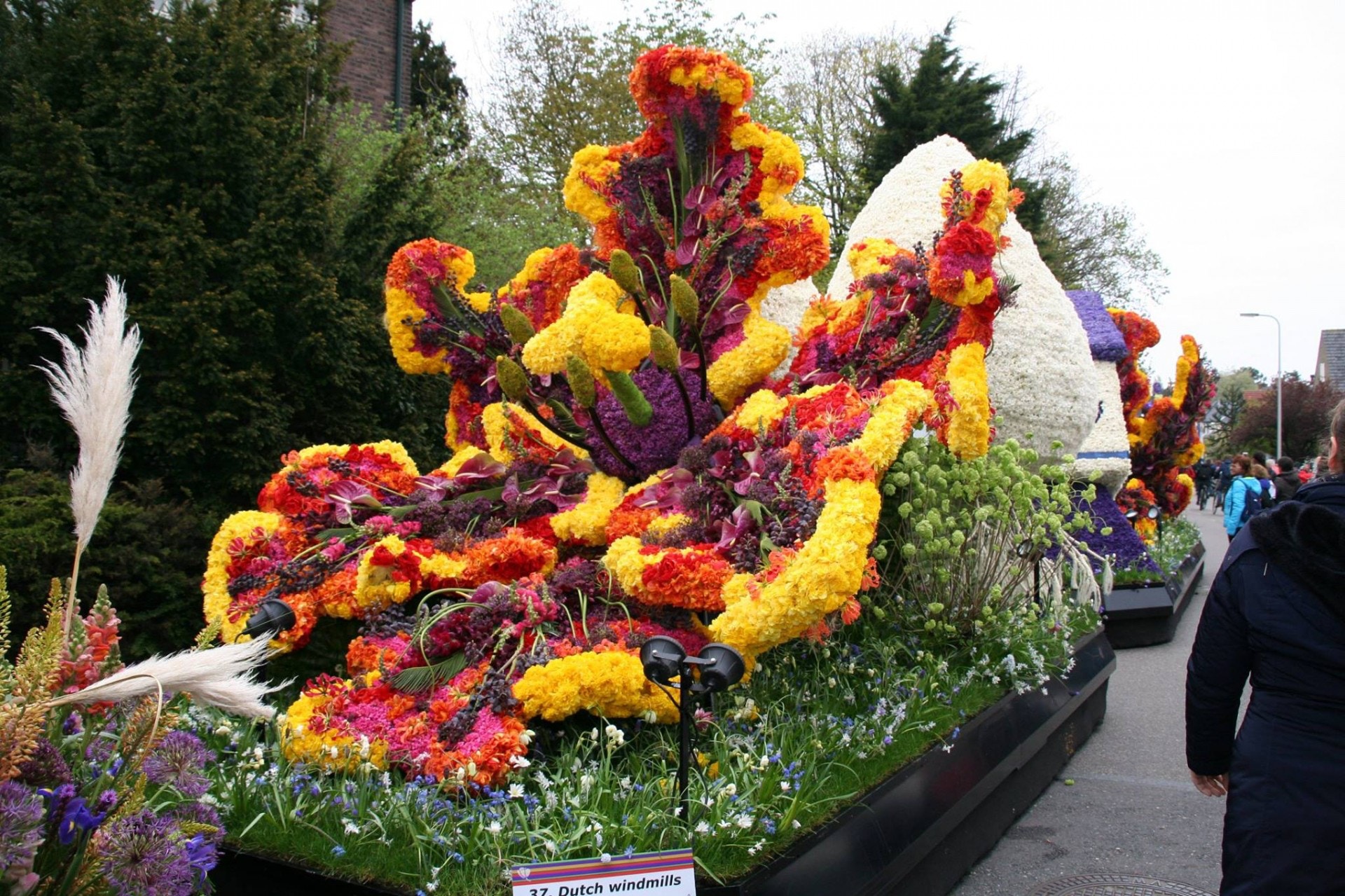 Bloemencorso花車遊行（Bloemencorso Bollenstreek @ Facebook）