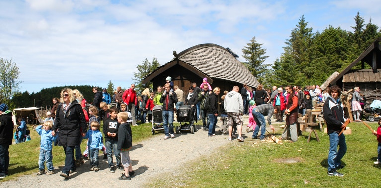 維京節 Viking Festival（維京節 Viking Festival 官網）