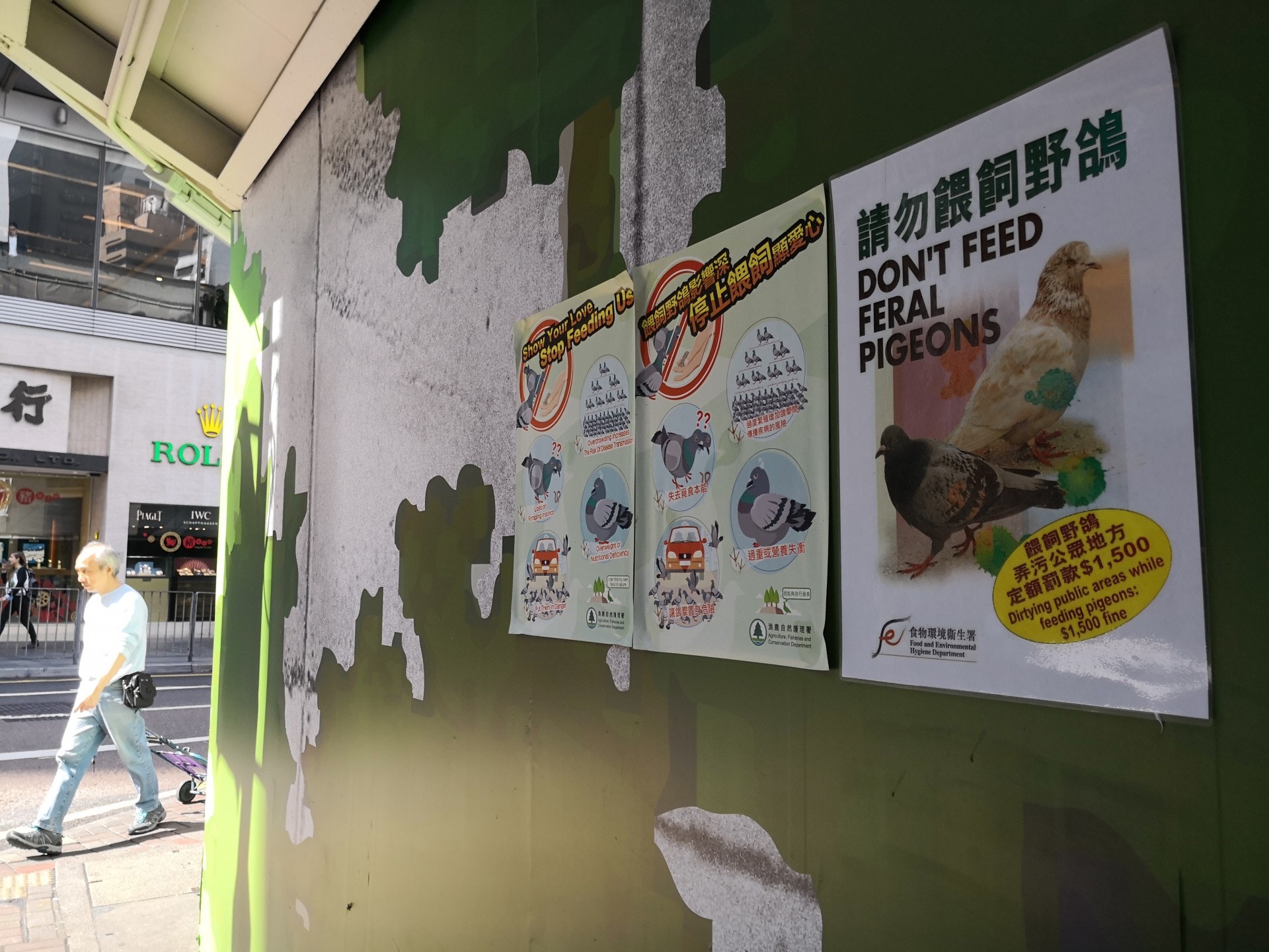 該處貼有大量海報及橫額,提醒市民不要餵飼野鳥。(呂諾君攝) 該處貼有大量海報及橫額,提醒市民不要餵飼野鳥。(呂諾君攝)