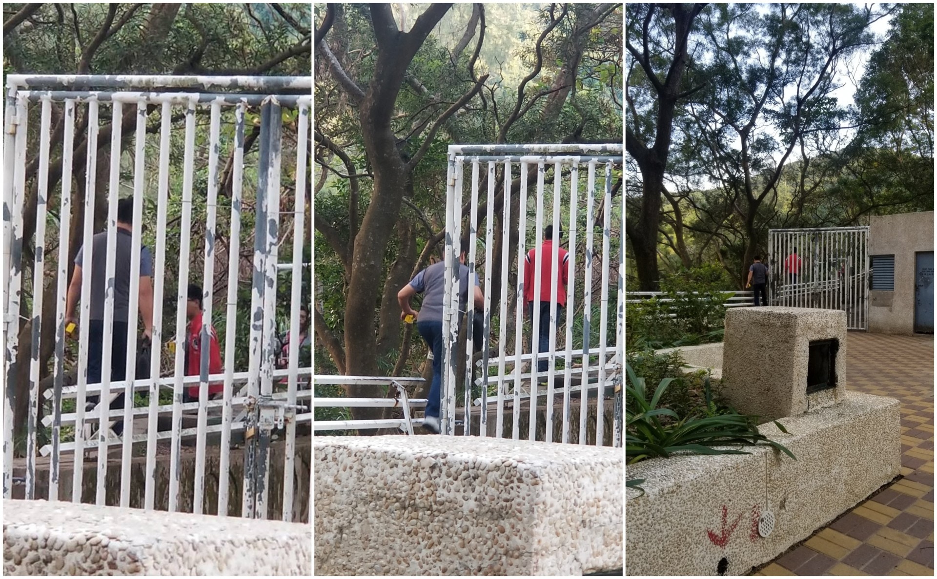 譚先生行山時曾遇上兩名男子帶著槍袋上山。(受訪者提供相片) 譚先生行山時曾遇上兩名男子帶著槍袋上山。(受訪者提供相片)