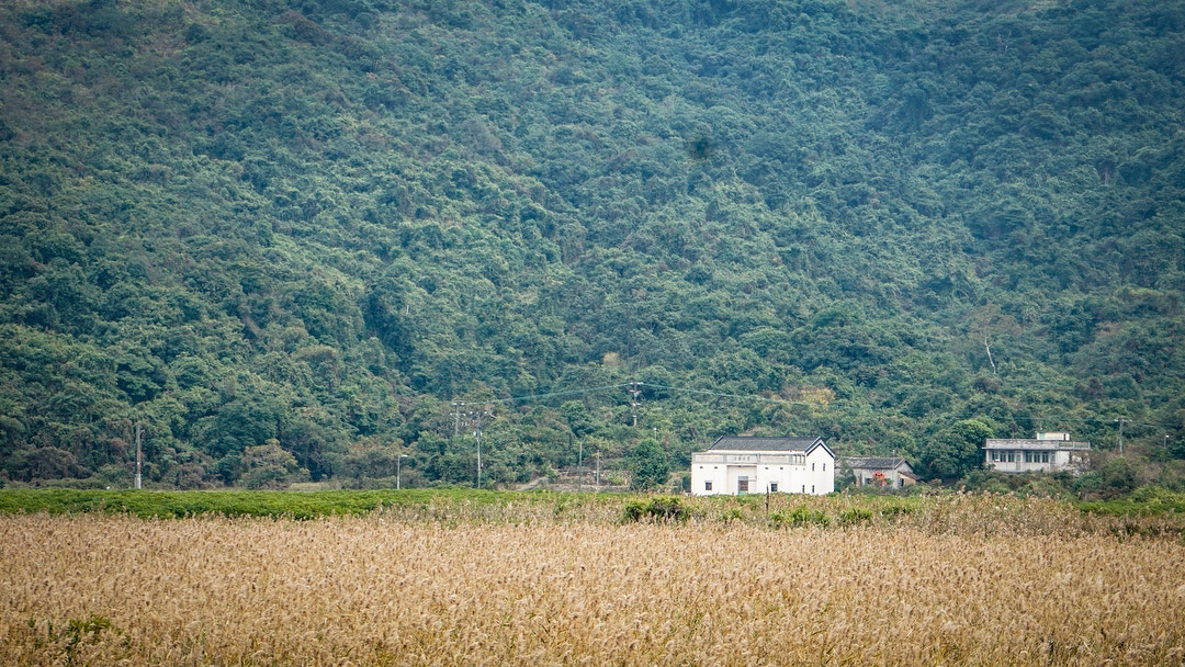 香港景點