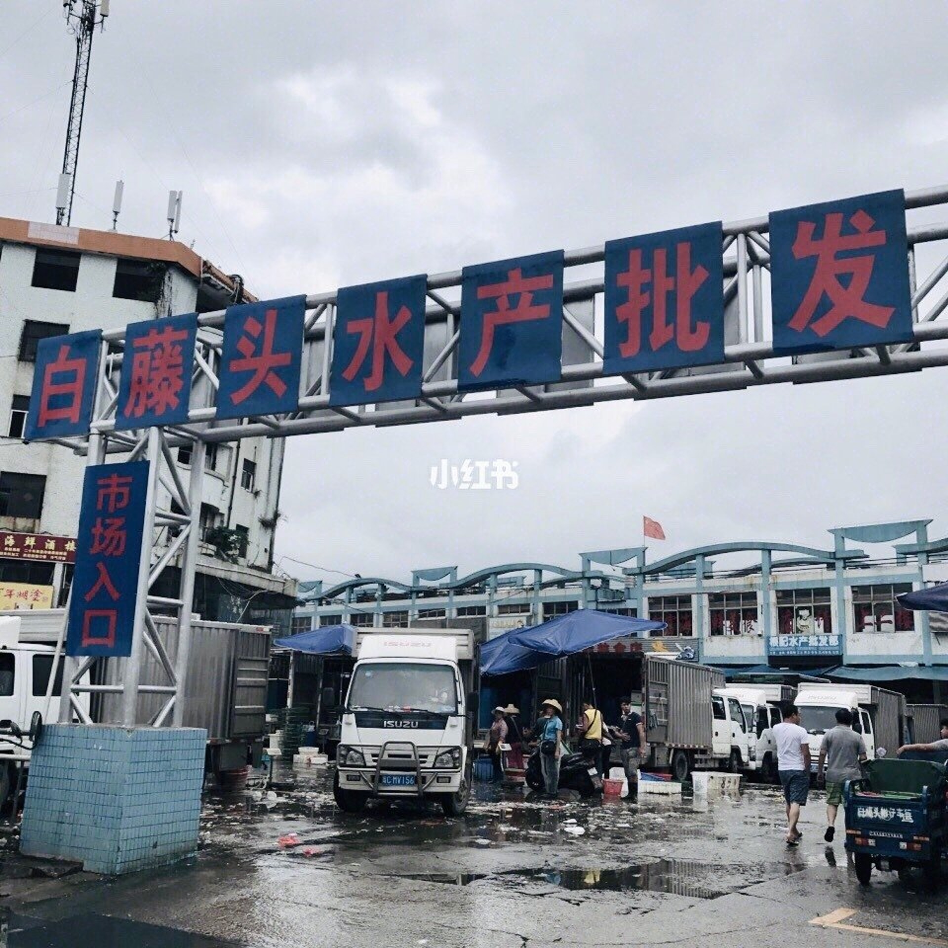 灣仔海鮮街位於珠海白藤頭海鮮市場(圖片來源:小紅書) 珠海美食