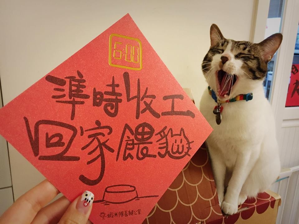 嘔少啲當幫忙！」 貓奴心願揮春引共鳴原來創作背後好辛酸｜香港01｜熱 