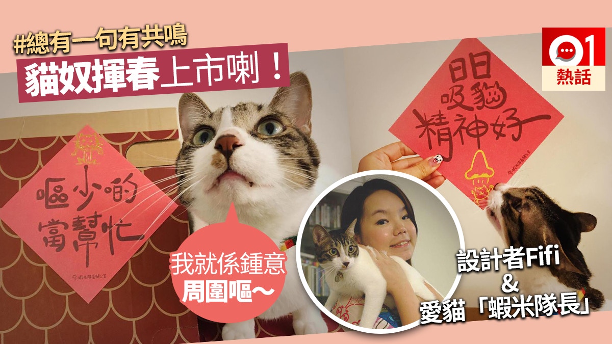 嘔少啲當幫忙！」 貓奴心願揮春引共鳴原來創作背後好辛酸｜香港01｜熱 