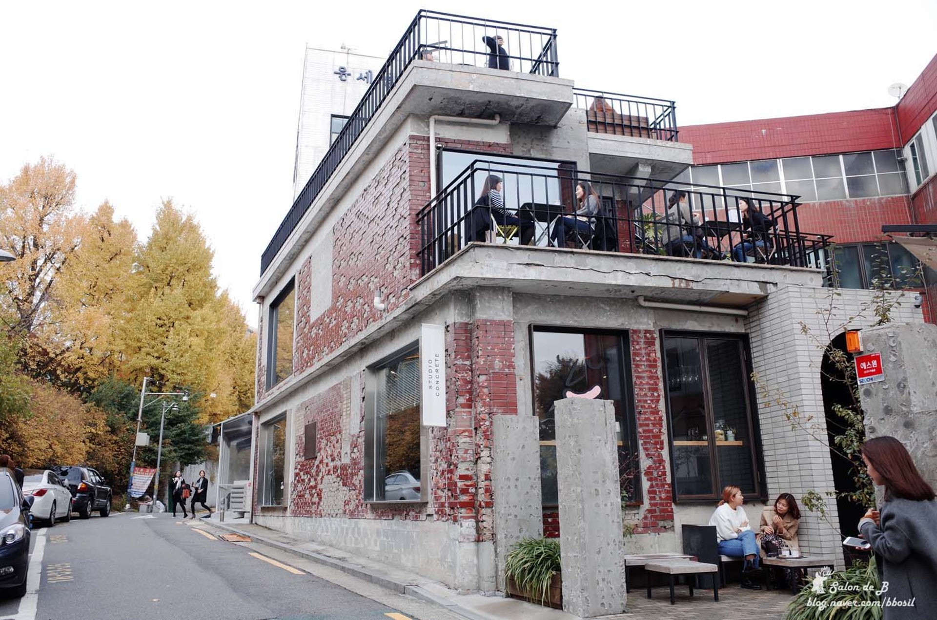 (網上圖片) (網上圖片)