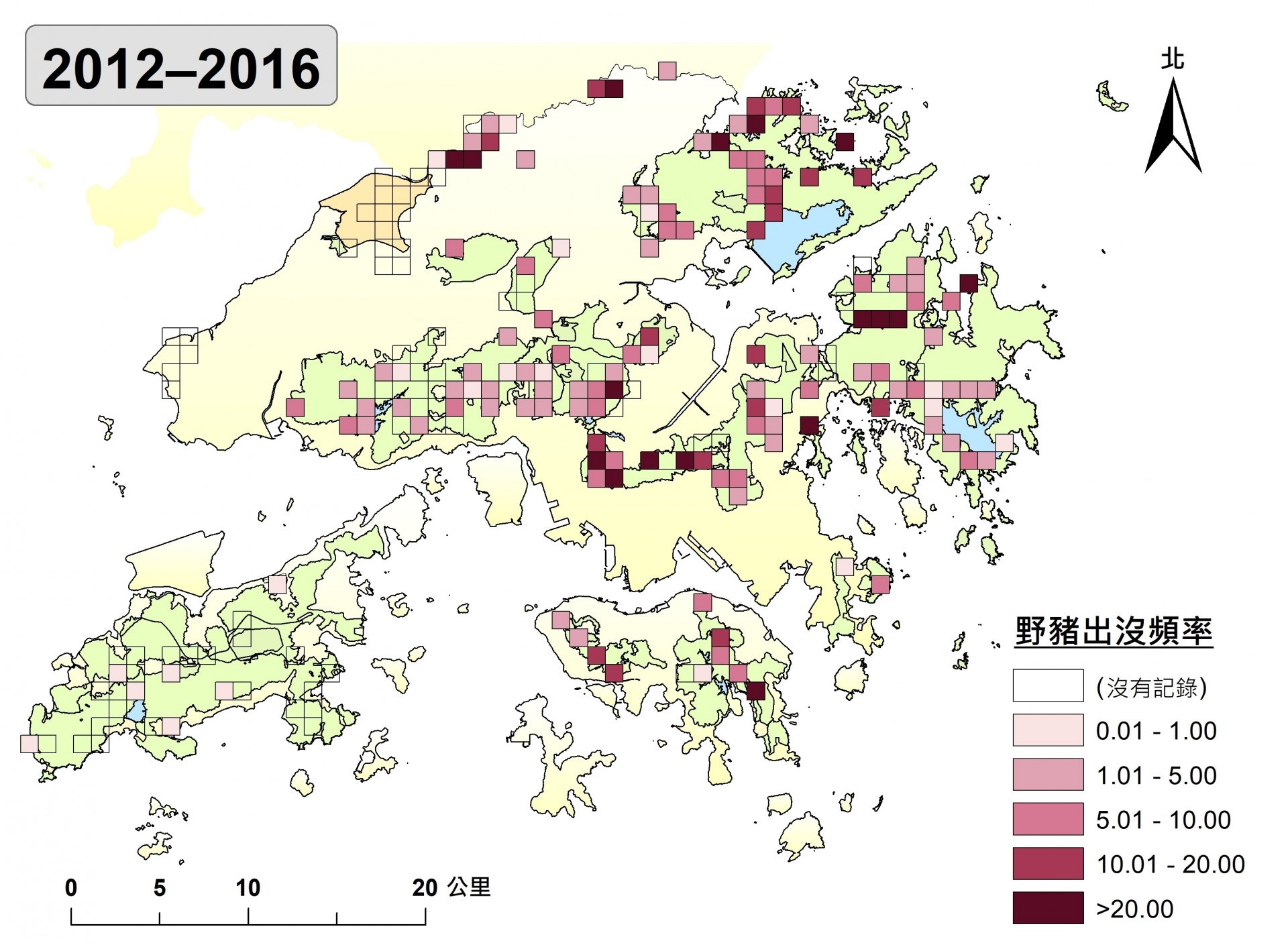 野豬足迹遍佈全港。(漁護署提供) 野豬足迹遍佈全港。(漁護署提供)