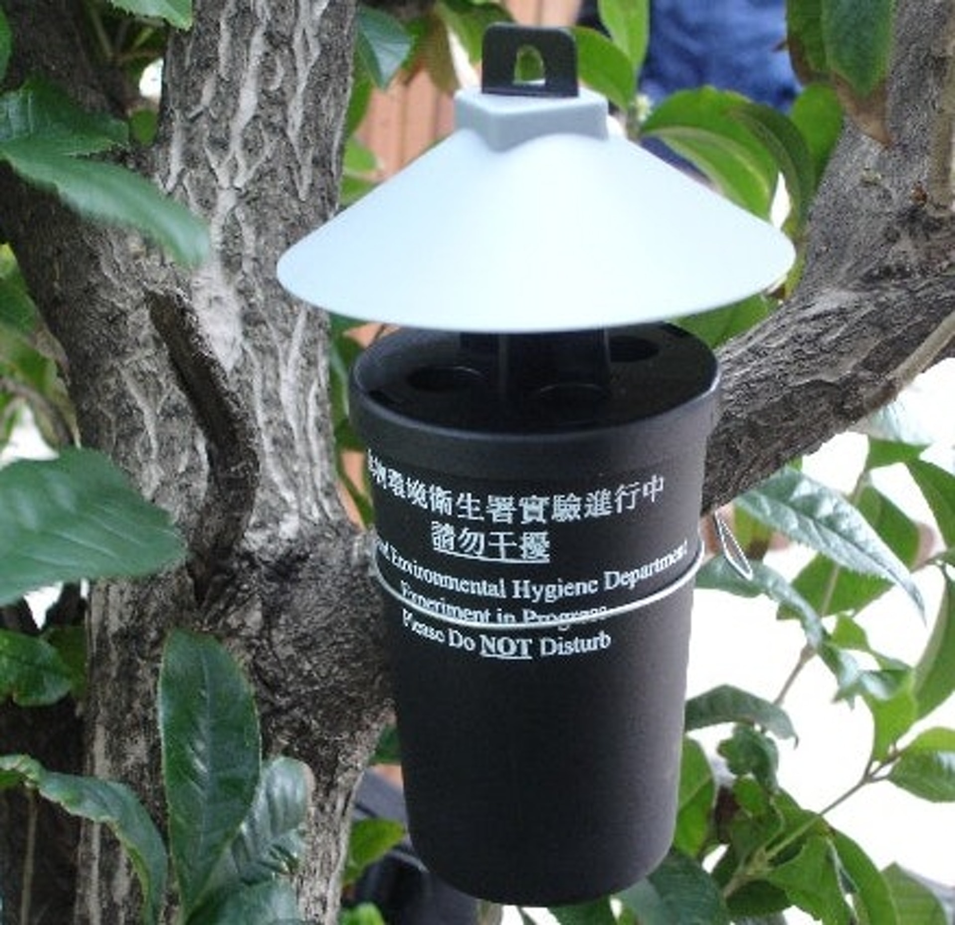 食環署正研究改良誘蚊產卵器的設計。(資料圖片) 食環署正研究改良誘蚊產卵器的設計。(資料圖片)