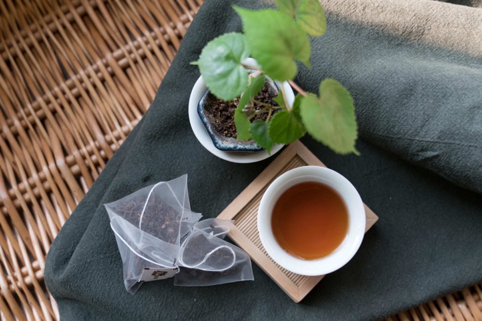 普洱茶適合冬天季節飲用，性質温和，有潤胃、清腸之效。(吳鍾坤攝)