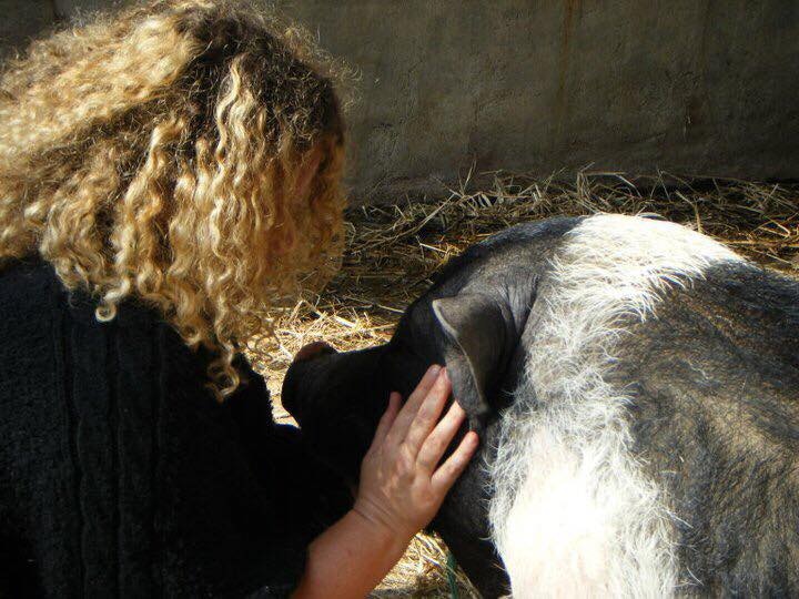 Keren提醒要養動物的人,事先想清楚自己能否承擔養育動物的責任。「牠有14年壽命,你就要完全地負起14年的責任。」(受訪者提供) Keren提醒要養動物的人,事先想清楚自己能否承擔養育動物的責任。「牠有14年壽命,你就要完全地負起14年的責任。」(受訪者提供)