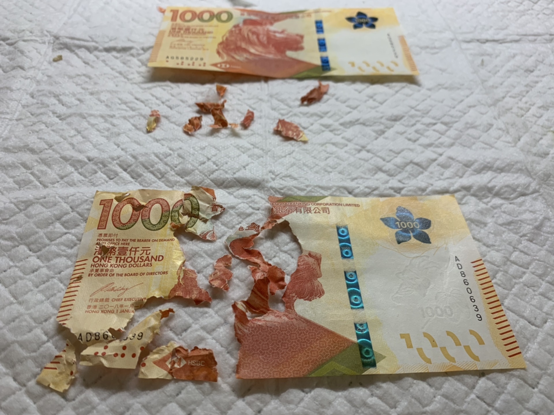 有網民分享一封千元利市被鸚鵡咬爛,十分憤怒,後來以「砌圖」的方式還原鈔票。(連登討論區) 有網民分享一封千元利市被鸚鵡咬爛,十分憤怒,後來以「砌圖」的方式還原鈔票。(連登討論區)