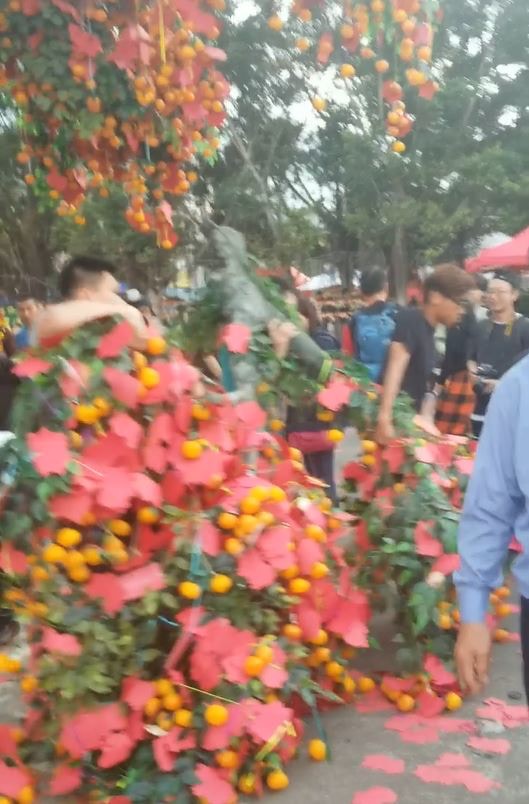 塌下的分支需由三名男子搬離現場。（受訪者胡先生提供圖片）