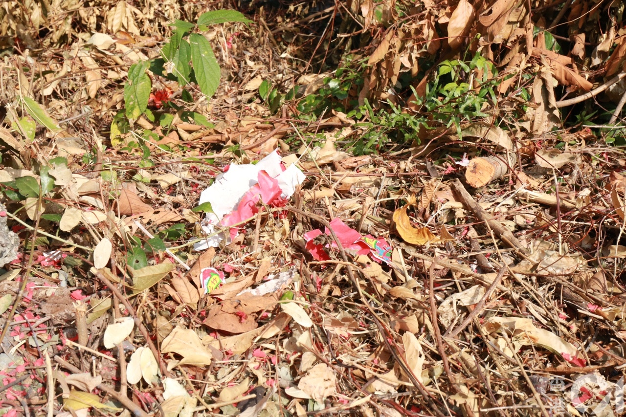 記者在牛牛棲息的地方視察,發現不少疑似炮竹殘骸。 (陳諾希攝) 記者在牛牛棲息的地方視察,發現不少疑似炮竹殘骸。 (陳諾希攝)