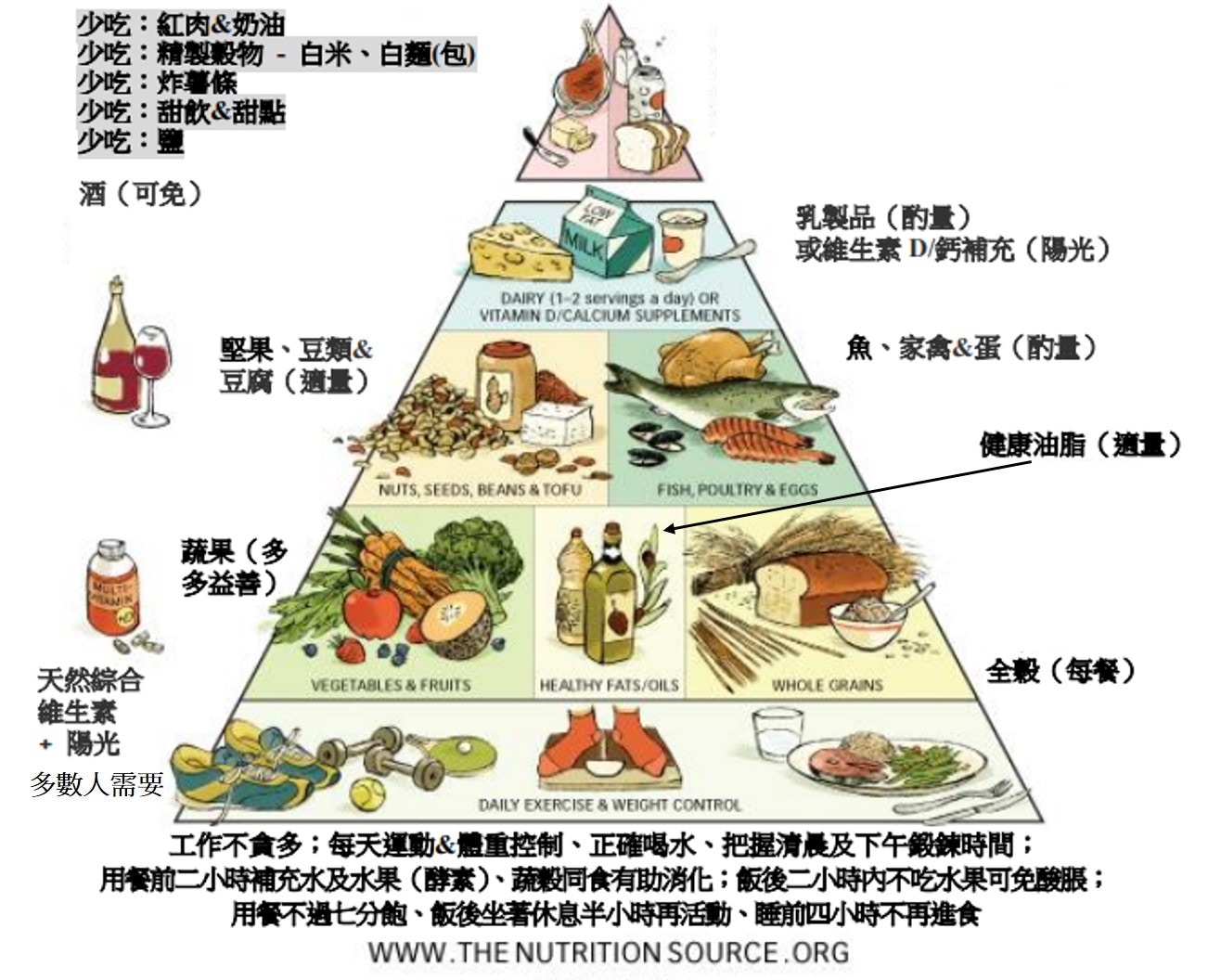 哈佛大學新食物金字塔中，健康油脂（芥花籽油、橄欖油）在第4層。地位跟蔬果及全穀類食物重要，健康油脂有助心血管健康。（圖片摘自：國立台東大學資訊管理學系人因與健康資訊管理課堂講義）