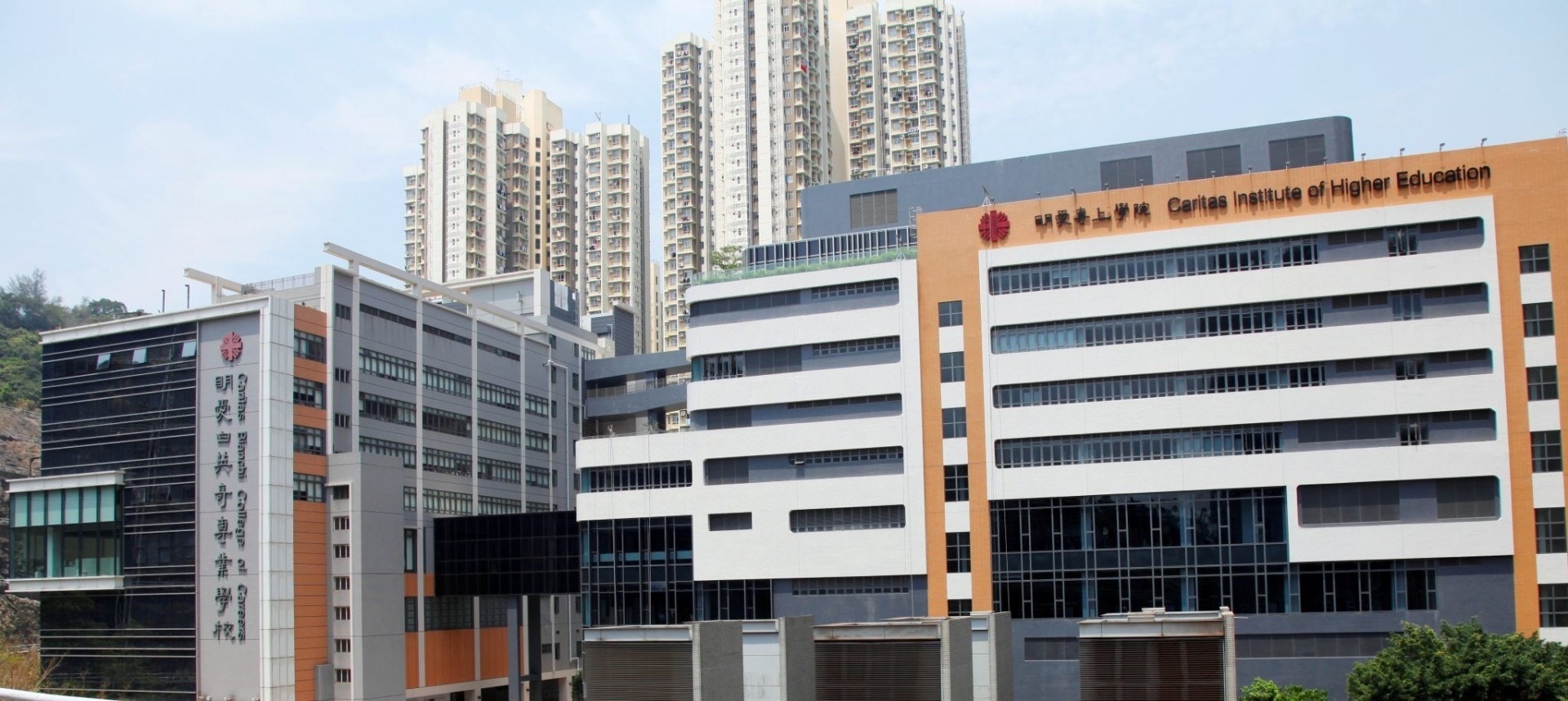 明愛邱比特活動被阻學生會爆校方倡改名「明明白白你的心」