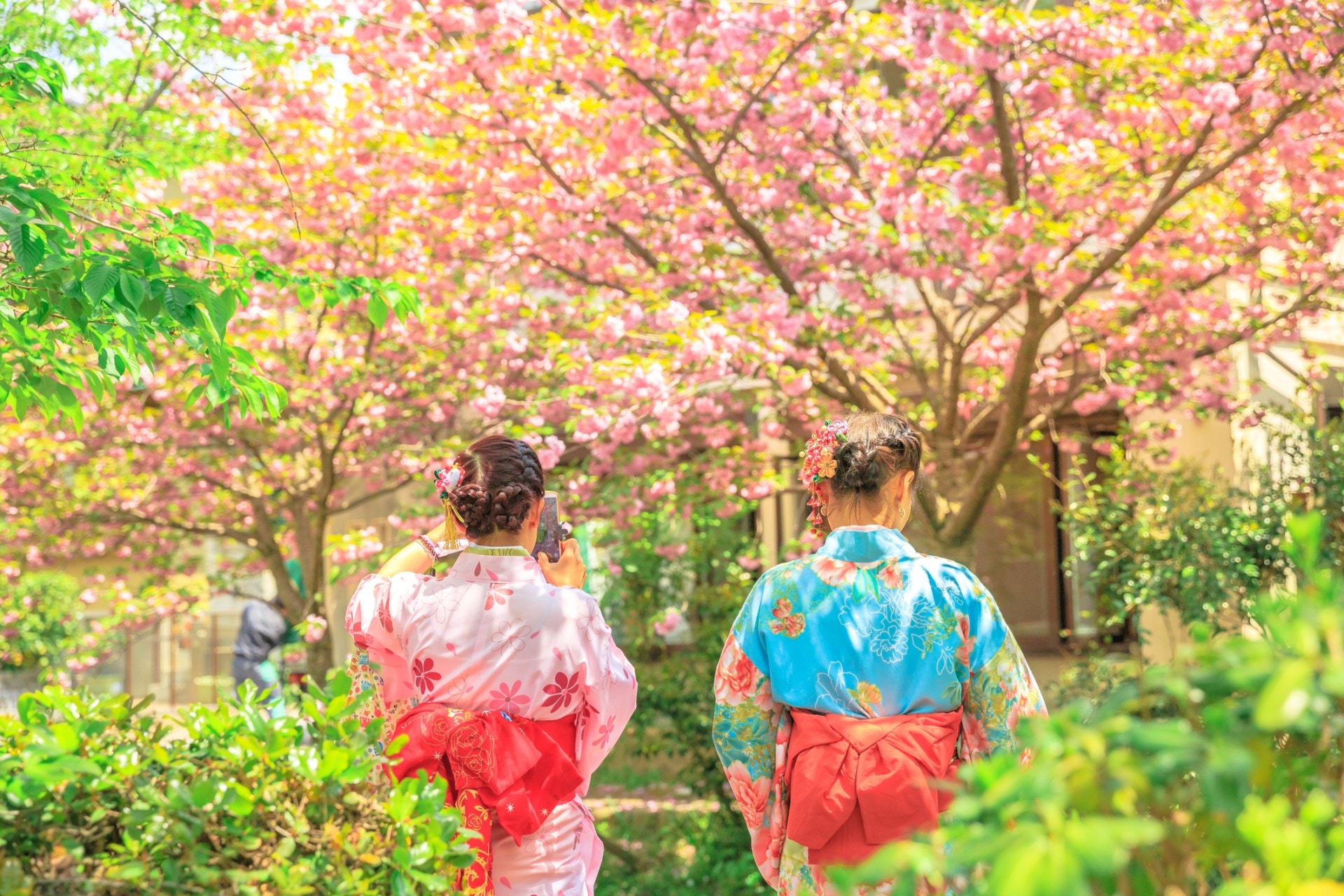 櫻花19 全日本開花時間預測一文睇晒東京 京都賞櫻景點 香港01 旅遊