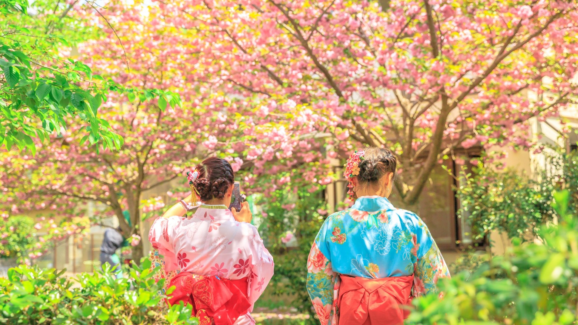 櫻花19 全日本開花時間預測一文睇晒東京 京都賞櫻景點 香港01 旅遊 櫻花19 全日本開花時間預測一文睇晒東京 京都賞櫻景點 香港01 旅遊