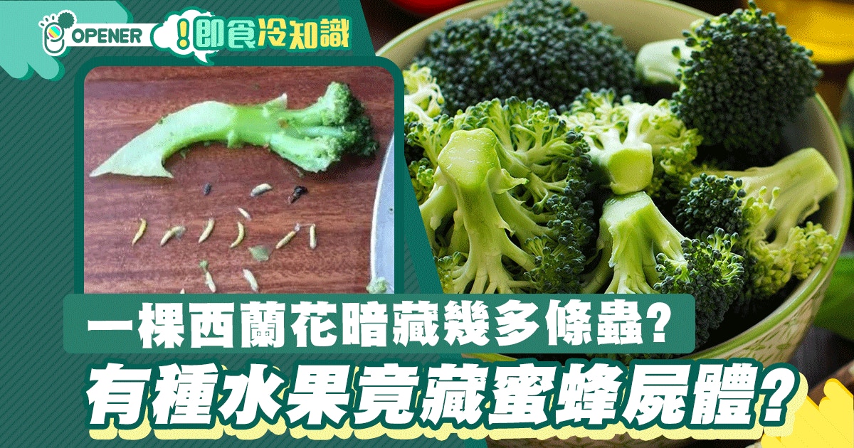 一棵西蘭花暗藏幾多條蟲 荔枝更惹蟲有種水果竟藏蜜蜂屍體