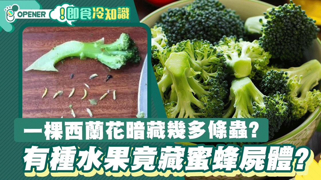一棵西蘭花暗藏幾多條蟲 荔枝更惹蟲有種水果竟藏蜜蜂屍體 一棵西蘭花暗藏幾多條蟲 荔枝更惹蟲有種水果竟藏蜜蜂屍體